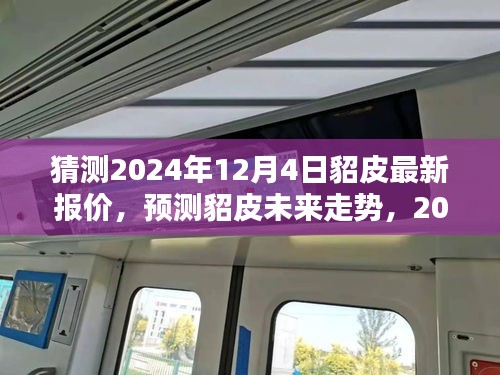 2024年12月4日貂皮报价预测及未来走势分析指南