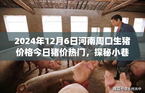 探秘河南周口小巷深处的猪肉秘境，独家猪价之旅（2024年12月6日）