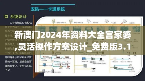 新澳门2024年资料大全宫家婆,灵活操作方案设计_免费版3.112