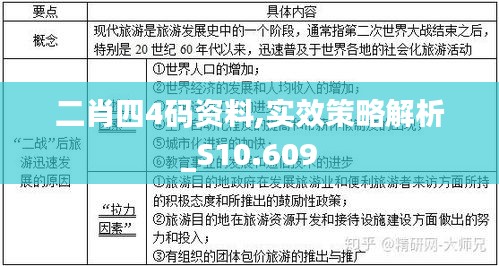 二肖四4码资料,实效策略解析_S10.609