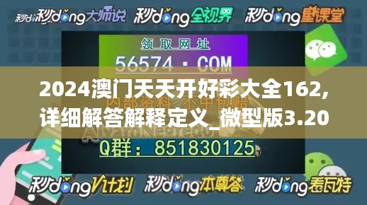 2024澳门天天开好彩大全162,详细解答解释定义_微型版3.204