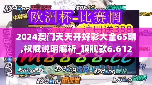 2024澳门天天开好彩大全65期,权威说明解析_旗舰款6.612