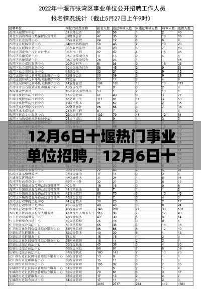 12月6日十堰热门事业单位招聘及测评介绍