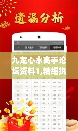 九龙心水高手论坛资料1,精细执行计划_bundle6.699