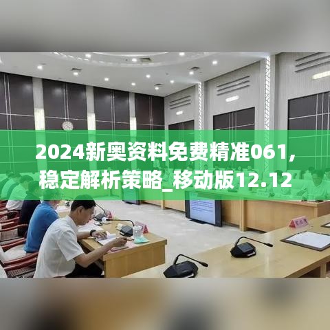 2024新奥资料免费精准061,稳定解析策略_移动版12.124