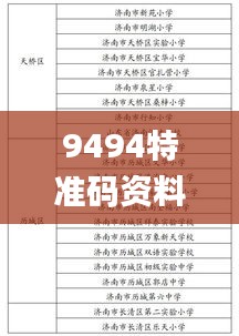 9494特准码资料大全,详细解答解释定义_领航款3.872