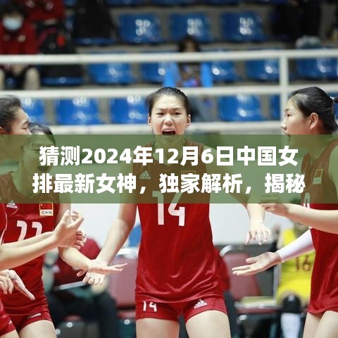 独家揭秘，预测中国女排新女神——全方位评测揭晓，时间指向2024年12月6日