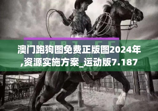 澳门跑狗图免费正版图2024年,资源实施方案_运动版7.187