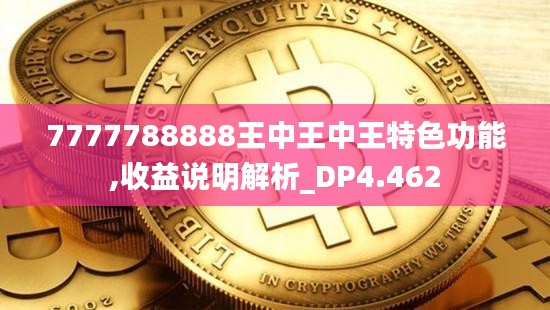 7777788888王中王中王特色功能,收益说明解析_DP4.462