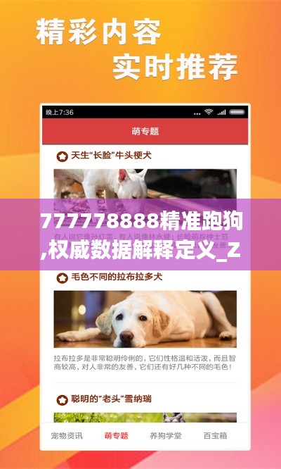 777778888精准跑狗,权威数据解释定义_Z4.808