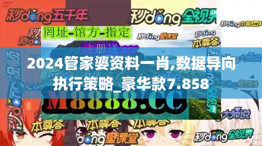 2024管家婆资料一肖,数据导向执行策略_豪华款7.858