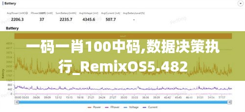 一码一肖100中码,数据决策执行_RemixOS5.482