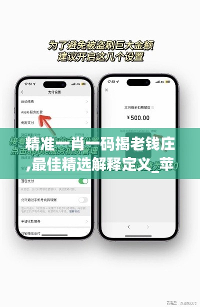 精准一肖一码揭老钱庄,最佳精选解释定义_苹果款6.103