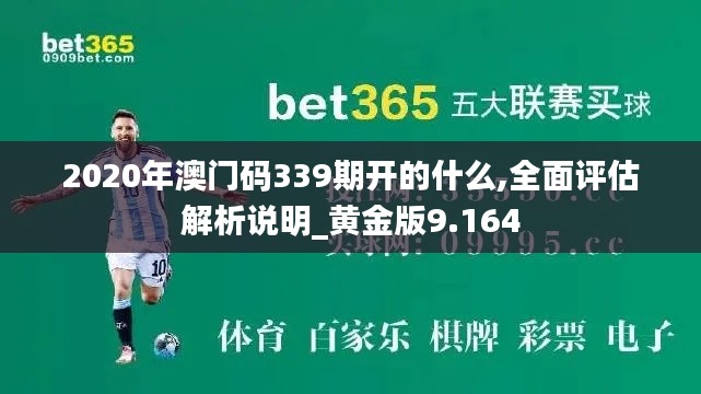 2020年澳门码339期开的什么,全面评估解析说明_黄金版9.164