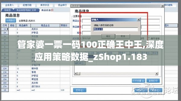 管家婆一票一码100正确王中王,深度应用策略数据_zShop1.183