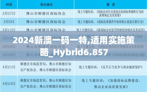 2024新澳一码一特,适用实施策略_Hybrid6.857