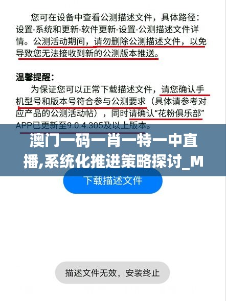 澳门一码一肖一特一中直播,系统化推进策略探讨_MP8.688