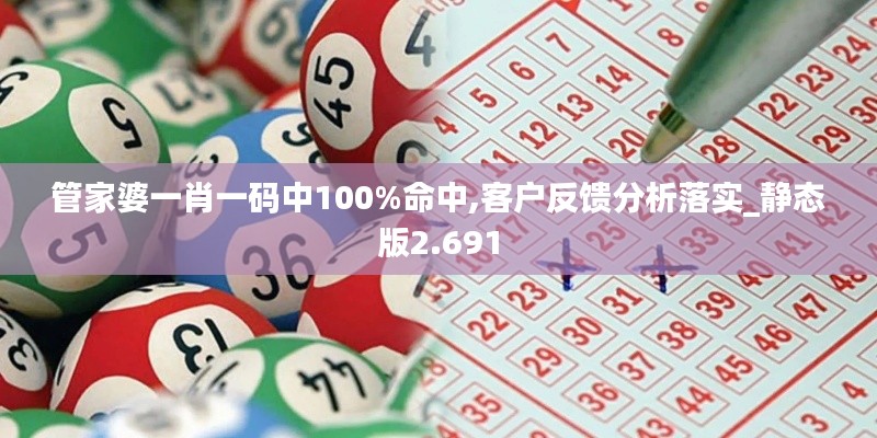 管家婆一肖一码中100%命中,客户反馈分析落实_静态版2.691