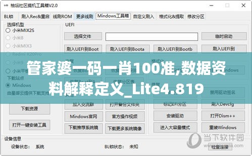 管家婆一码一肖100准,数据资料解释定义_Lite4.819