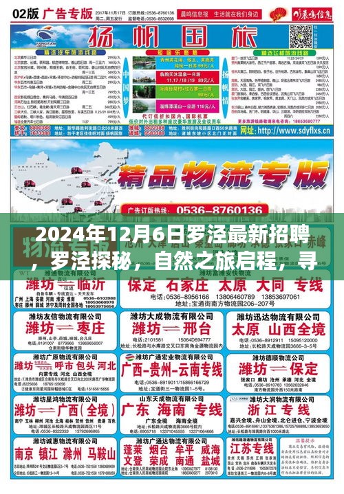 2024年12月6日罗泾最新招聘，罗泾探秘，自然之旅启程，寻找内心的宁静与平和