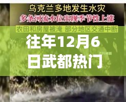 小红书亲历记，武都洪灾泪目时刻，去年12月6日的灾难回忆