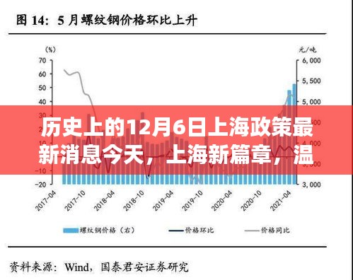 上海新篇章，温馨十二月的暖心故事与政策更新回顾