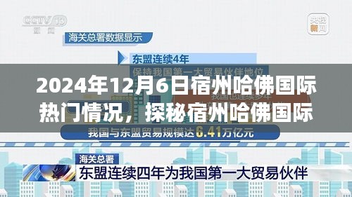 2024年12月7日 第8页