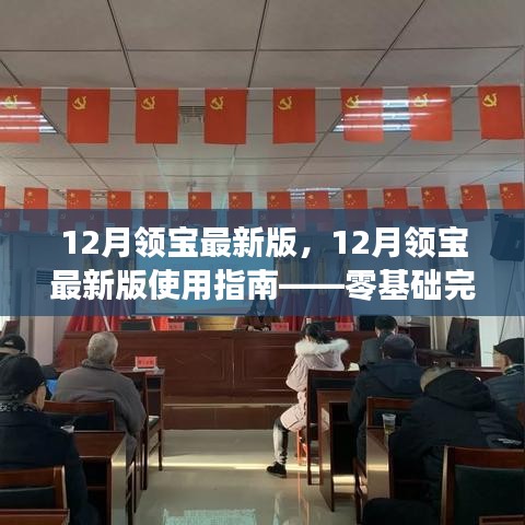 12月领宝最新版使用指南，零基础详细步骤助你轻松完成任务