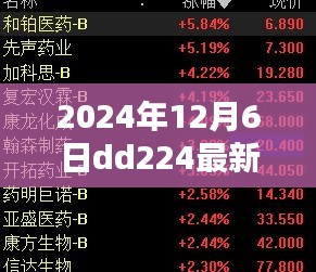 DD224网站奇遇记，友情之光在温馨日常中闪耀