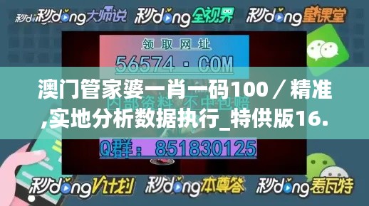 澳门管家婆一肖一码100／精准,实地分析数据执行_特供版16.622