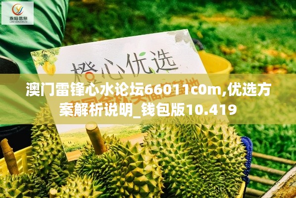 澳门雷锋心水论坛66011c0m,优选方案解析说明_钱包版10.419