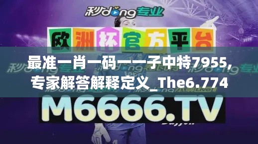 最准一肖一码一一子中特7955,专家解答解释定义_The6.774