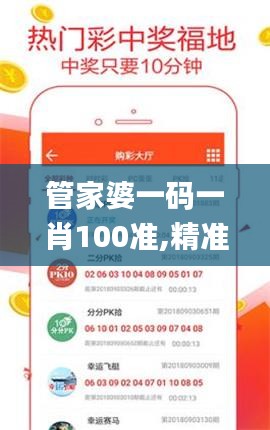 管家婆一码一肖100准,精准解答解释定义_AP7.819