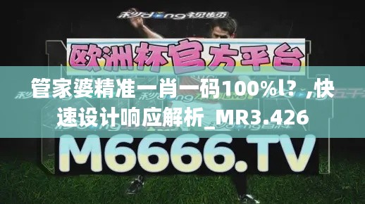 管家婆精准一肖一码100%l？,快速设计响应解析_MR3.426