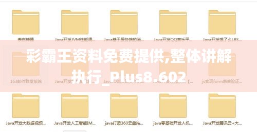 彩霸王资料免费提供,整体讲解执行_Plus8.602