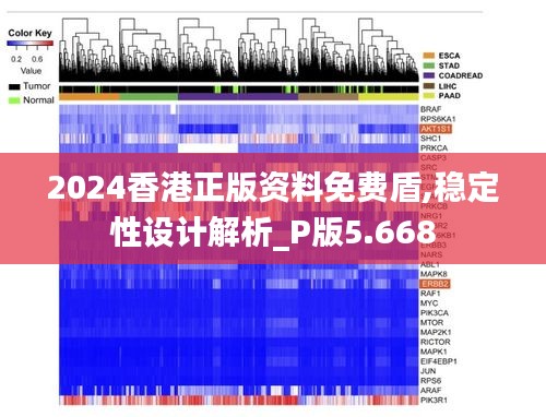 2024香港正版资料免费盾,稳定性设计解析_P版5.668