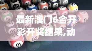 最新澳门6合开彩开奖结果,动态词语解释定义_VR5.649