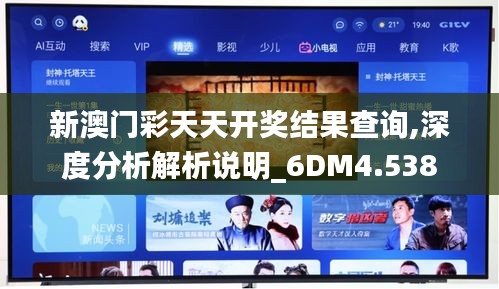 新澳门彩天天开奖结果查询,深度分析解析说明_6DM4.538