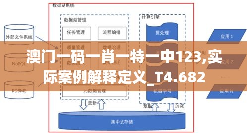 澳门一码一肖一特一中123,实际案例解释定义_T4.682