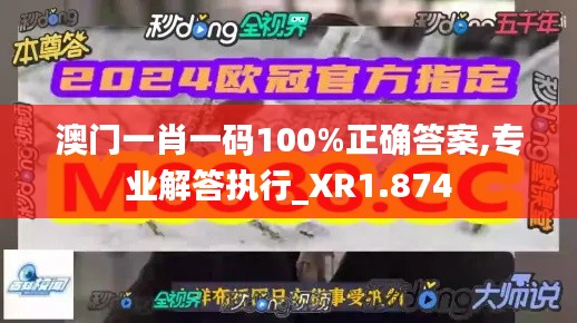 澳门一肖一码100%正确答案,专业解答执行_XR1.874