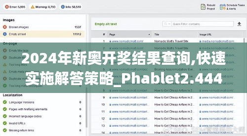 2024年新奥开奖结果查询,快速实施解答策略_Phablet2.444