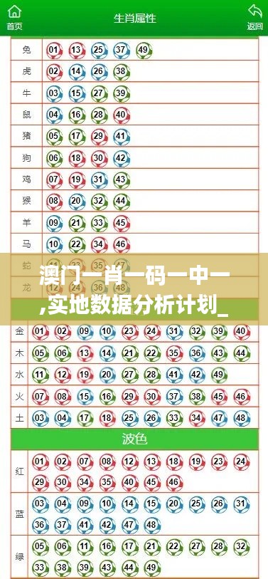 澳门一肖一码一中一,实地数据分析计划_精装款7.573