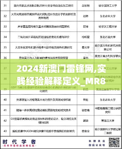 2024新澳门雷锋网,实践经验解释定义_MR8.522