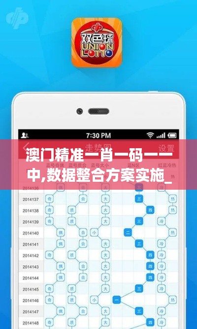 澳门精准一肖一码一一中,数据整合方案实施_3D6.308