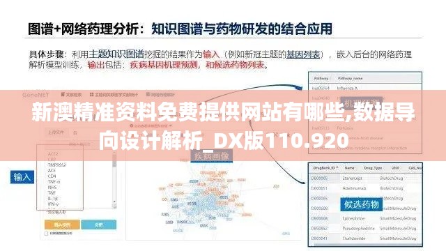 新澳精准资料免费提供网站有哪些,数据导向设计解析_DX版110.920