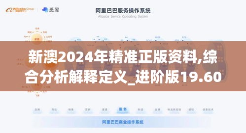 新澳2024年精准正版资料,综合分析解释定义_进阶版19.601