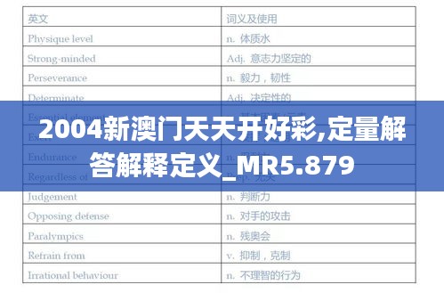 2004新澳门天天开好彩,定量解答解释定义_MR5.879