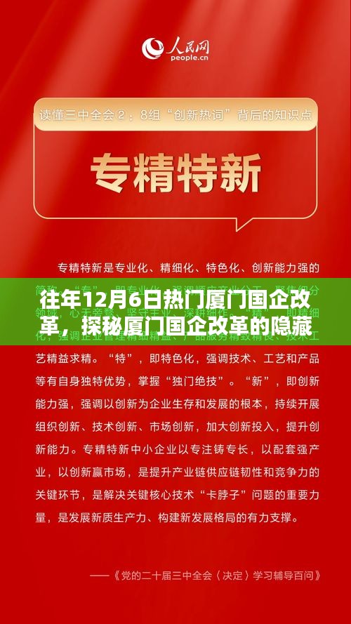 探秘厦门国企改革的隐藏宝藏，特色小店奇遇与国企改革的热浪同行