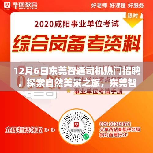 东莞智通司机招聘日，探索自然美景之旅，启程寻找内心的宁静与平和