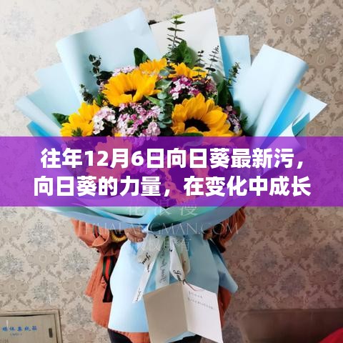 向日葵的力量，成长、变化与学习的光芒照亮未来之路